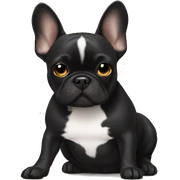 Black Frenchie laying sticker