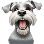 Schnauzer laughing  sticker