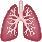 lungs sticker