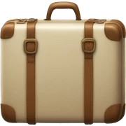 Suitcase  sticker