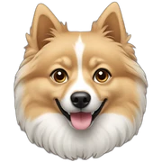 Indian spitz  sticker