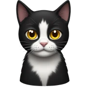 Black cat sticker