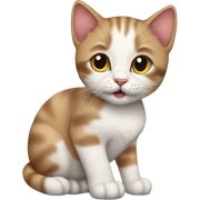 kitten sticker