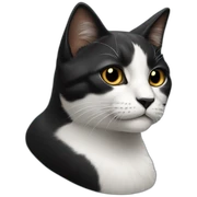 gato negro y blanco sticker