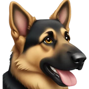 German shepherd  sticker