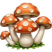 shrooms sticker