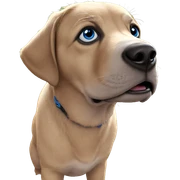 realistic blue eyed animal sticker
