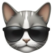 Cat with sunglasses sticker