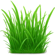 Grass sticker