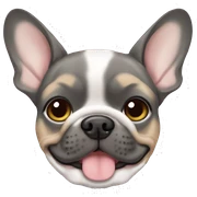 Merle Frenchie sticker