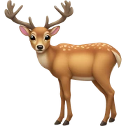 Deer sticker