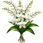 big bouquet white Dendrobium Orchid, stem, leaf sticker