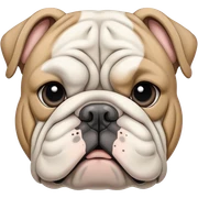 Grey, white, beige fresh bulldog sticker