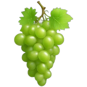 Green grapes sticker