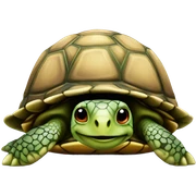 Turtle where a hat  sticker