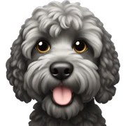 black cockapoo  sticker