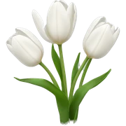 White tulips sticker