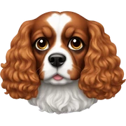cavalier sticker
