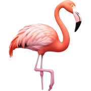 flamingo sticker