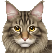Maine Coon sticker