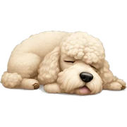 Sleeping poodle sticker
