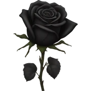 Black rose sticker