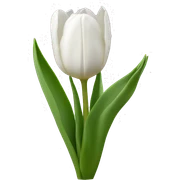 White tulips  sticker
