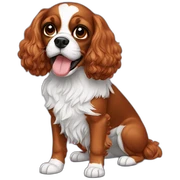 cavalier sticker