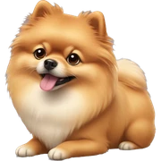 pomeranian sticker