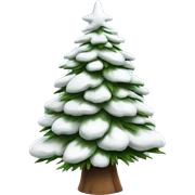  actual white fir christmas tree isolated.  sticker