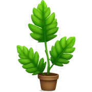 Plant sticker