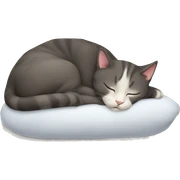 Cat sleeping  sticker