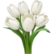 white tulip bouquet  sticker