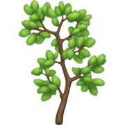tree branch sticker