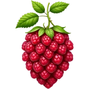 Framboise  sticker