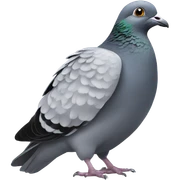 Pigeon sitting down sticker