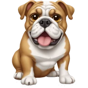 English bulldog  sticker