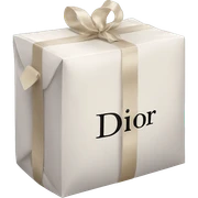 dior package sticker