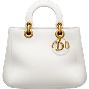 Dior bag sticker