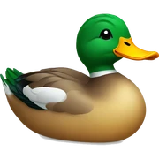 duck sticker