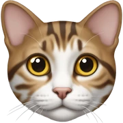 Brown and white tabby laying  sticker