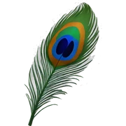 Peacock feather sticker