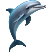 Dolphin  sticker