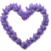 lavender heart sticker