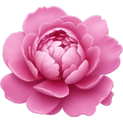 Pink sticker