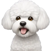 bichon frise sticker