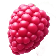raspberry sticker
