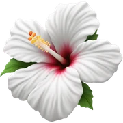 white hibiscus flower sticker