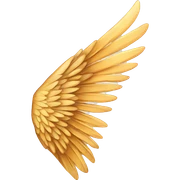 wing sticker
