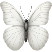 white butterfly sticker